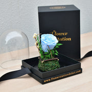 Light Blue - Forever Rose - Flower Station Dubai