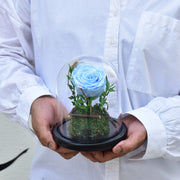 Light Blue - Forever Rose - Flower Station Dubai