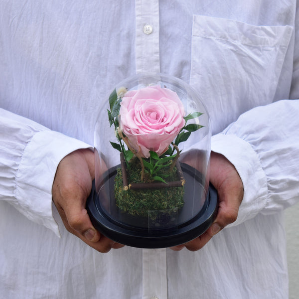 Little Darling - Forever Rose - Flower Station Dubai
