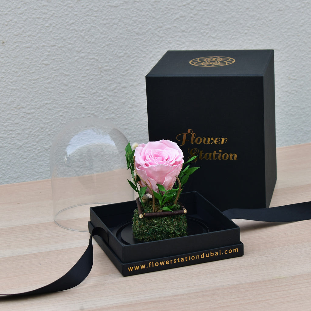Pink Forever Roses Pink Forever Rose | Pink Infinity Rose | Flower Station