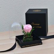 Little Darling - Forever Rose - Flower Station Dubai