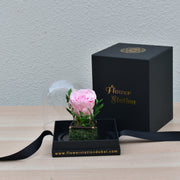 Little Darling - Forever Rose - Flower Station Dubai