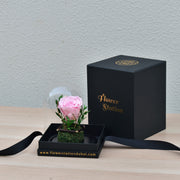 Little Darling - Forever Rose - Flower Station Dubai