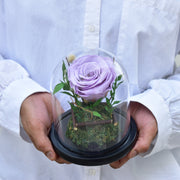 Light Purple - Forever Rose - Flower Station Dubai