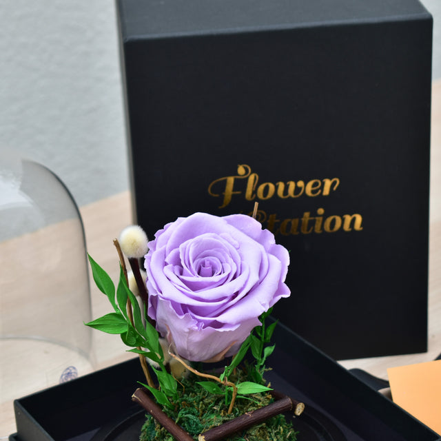 Light Purple - Forever Rose