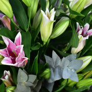 Lily Heaven - Flower Station Dubai