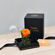 Orange - Forever Rose - Flower Station Dubai
