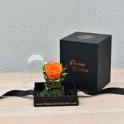 Orange - Forever Rose - Flower Station Dubai