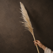 Pampas Grass - Natural - Flower Station Dubai