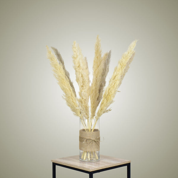 Pampas in Vase - Medium