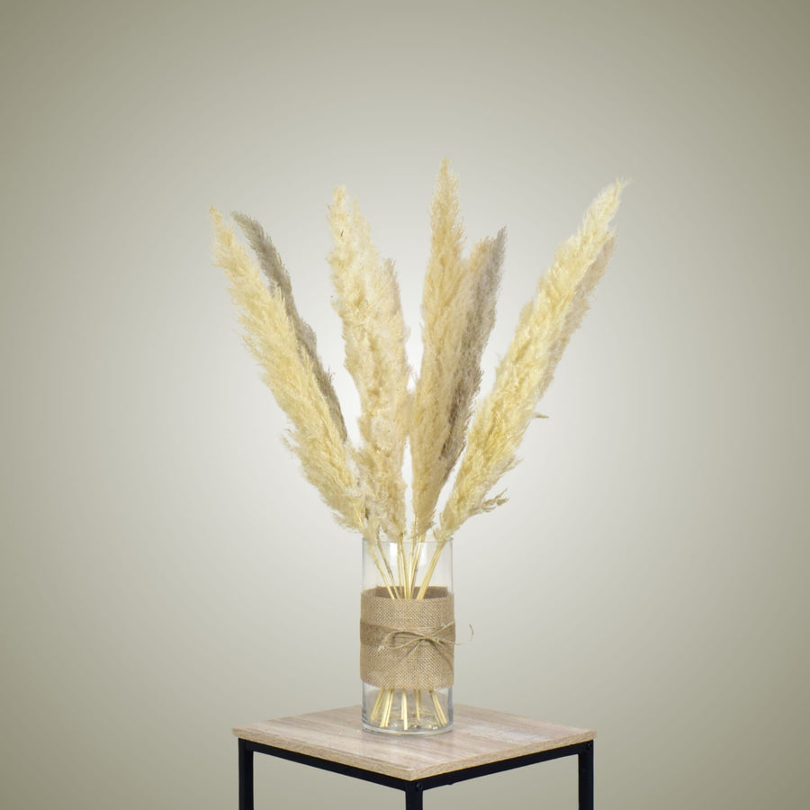 Pampas in Vase - Medium