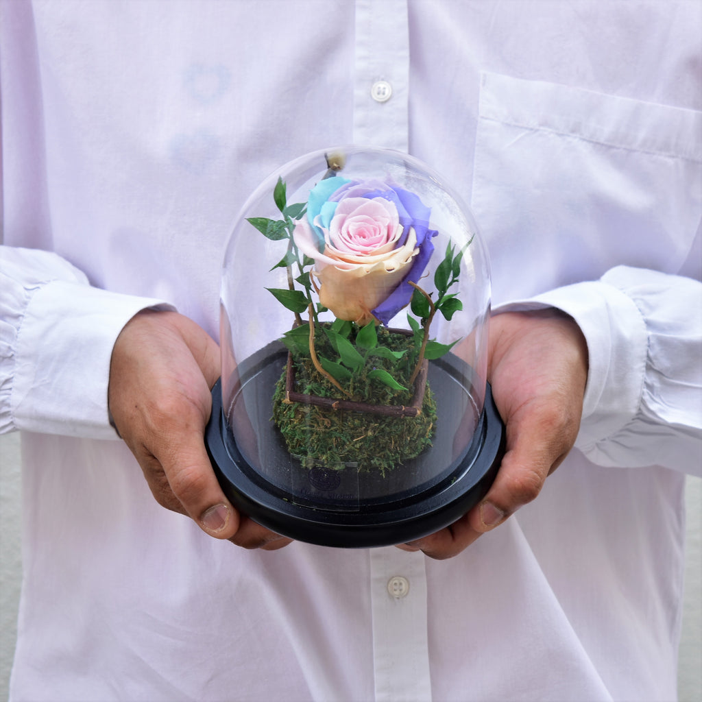 Forever Roses | Infinity Roses Collection Dubai, UAE | Flower Station