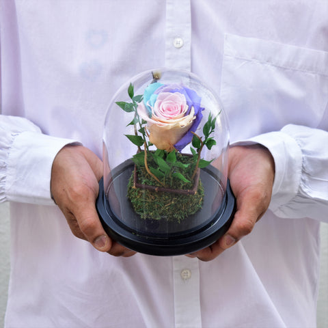 Forever Roses | Infinity Roses Collection Dubai, UAE | Flower Station