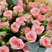Sweet Darling - Baby Roses