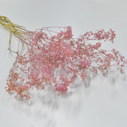 Dried Gypsophila - Flower Station Dubai