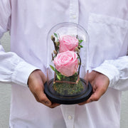 Angelic - Forever Rose - Flower Station Dubai