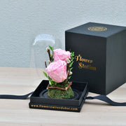 Angelic - Forever Rose - Flower Station Dubai