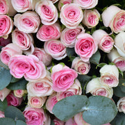 Little Princess - Baby Roses - Flower Station Dubai