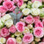 My Sweetie - Baby Roses - Flower Station Dubai