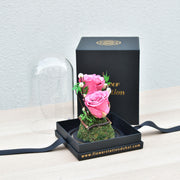 You're Awesome - Forever Rose - Flower Station Dubai
