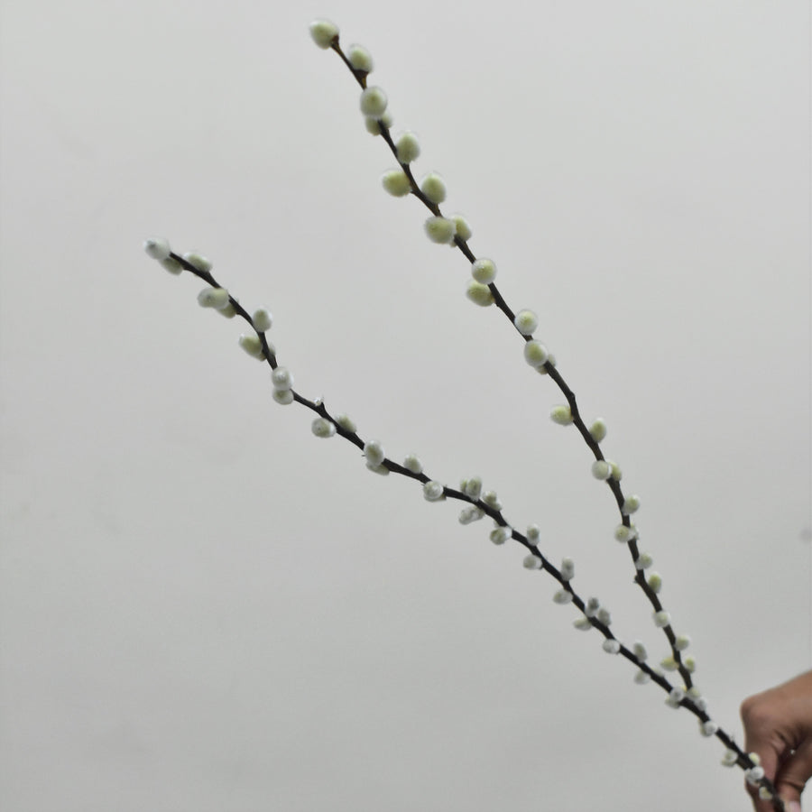 Pussy Willow - Flower Station Dubai