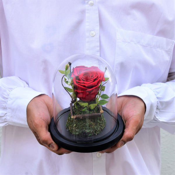 mono red forever roses designed in a glass dome