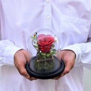 mono red forever roses designed in a glass dome