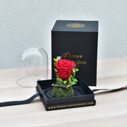 Infinite Love - Forever Rose - Flower Station Dubai