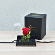 Infinite Love - Forever Rose - Flower Station Dubai