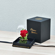 Infinite Love - Forever Rose - Flower Station Dubai