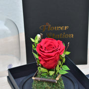 Infinite Love - Forever Rose - Flower Station Dubai
