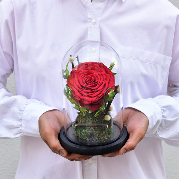 red forever roses XL designed in a glass dome
