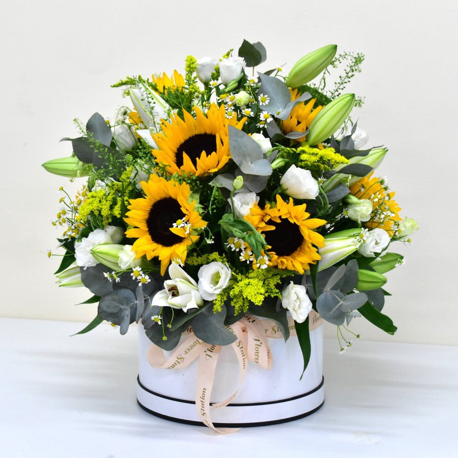 sunflower-box