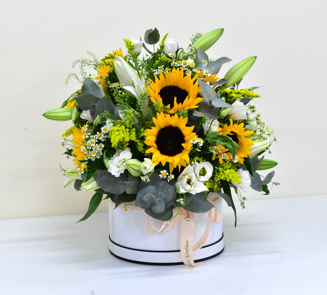 Magic Sunshine - Sunflower Box