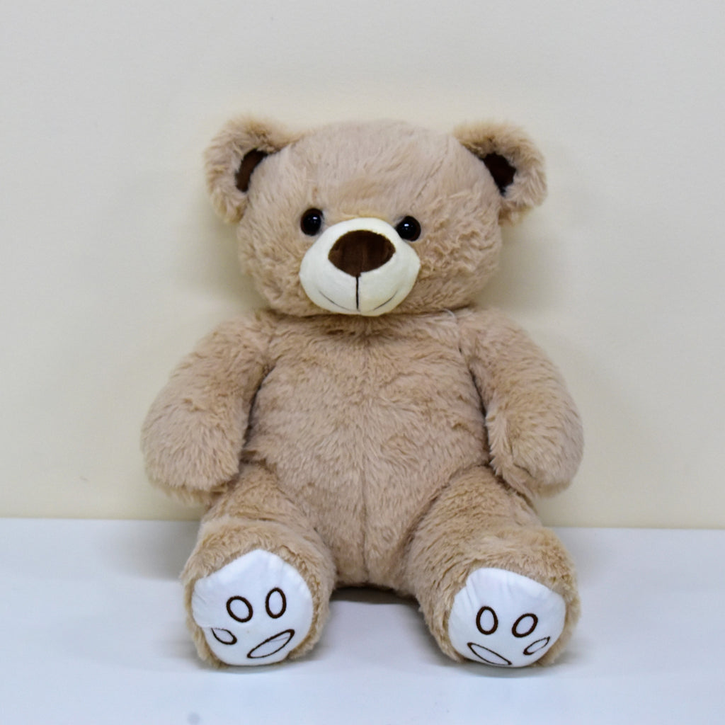 teddy-bear-brown-plush-toy