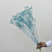 Dried Gypsophila - Flower Station Dubai