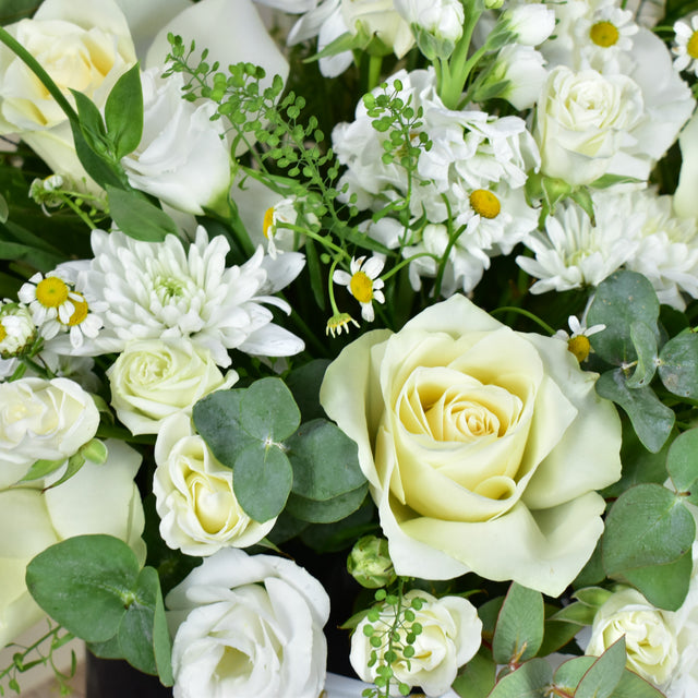 Sweet Serene - Flower Box