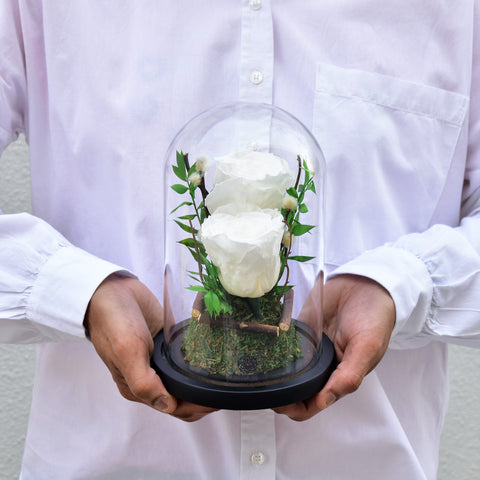White Roses as an Everyday Gift