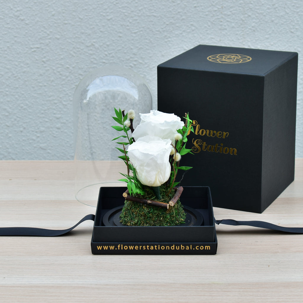 White Forever Rose | Infinity Rose Dubai | Flower Station