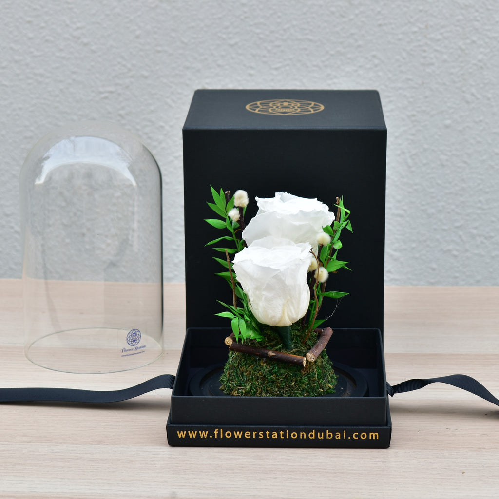 White Forever Rose | Infinity Rose Dubai | Flower Station