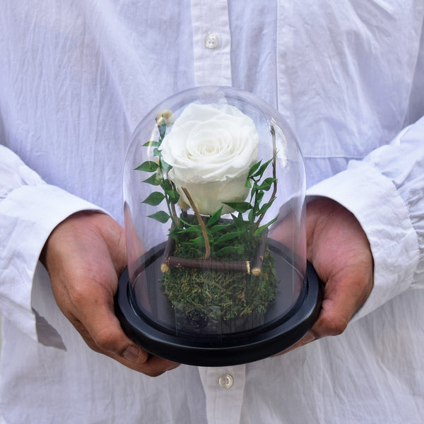 Sentiments - Forever Rose - Flower Station Dubai