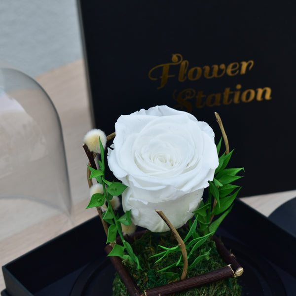 White Forever Rose in Dubai | Flower Station