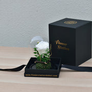 Sentiments - Forever Rose - Flower Station Dubai