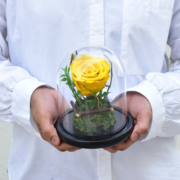 yellow forever rose dubai