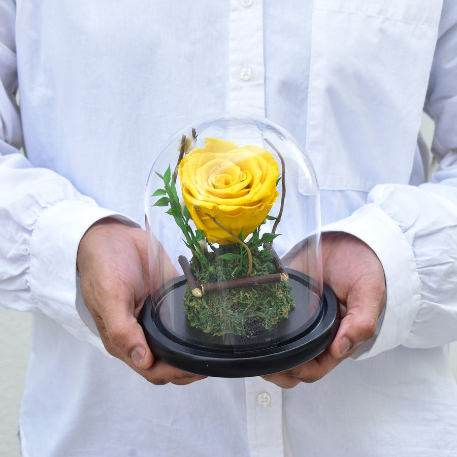 yellow forever rose dubai