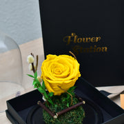 yellow forever rose dubai