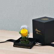 yellow forever rose dubai