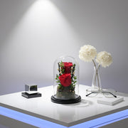 You & Me - Forever Rose - Flower Station Dubai