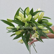 Lily - Monthly Subscription - Flower Station Dubai