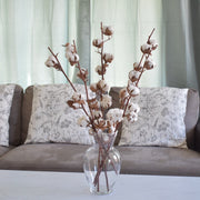 Dried Cotton - Flower Station Dubai